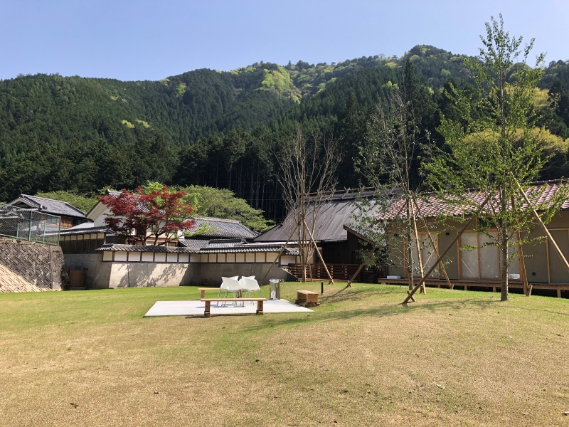 天然芝の広大なドッグラン