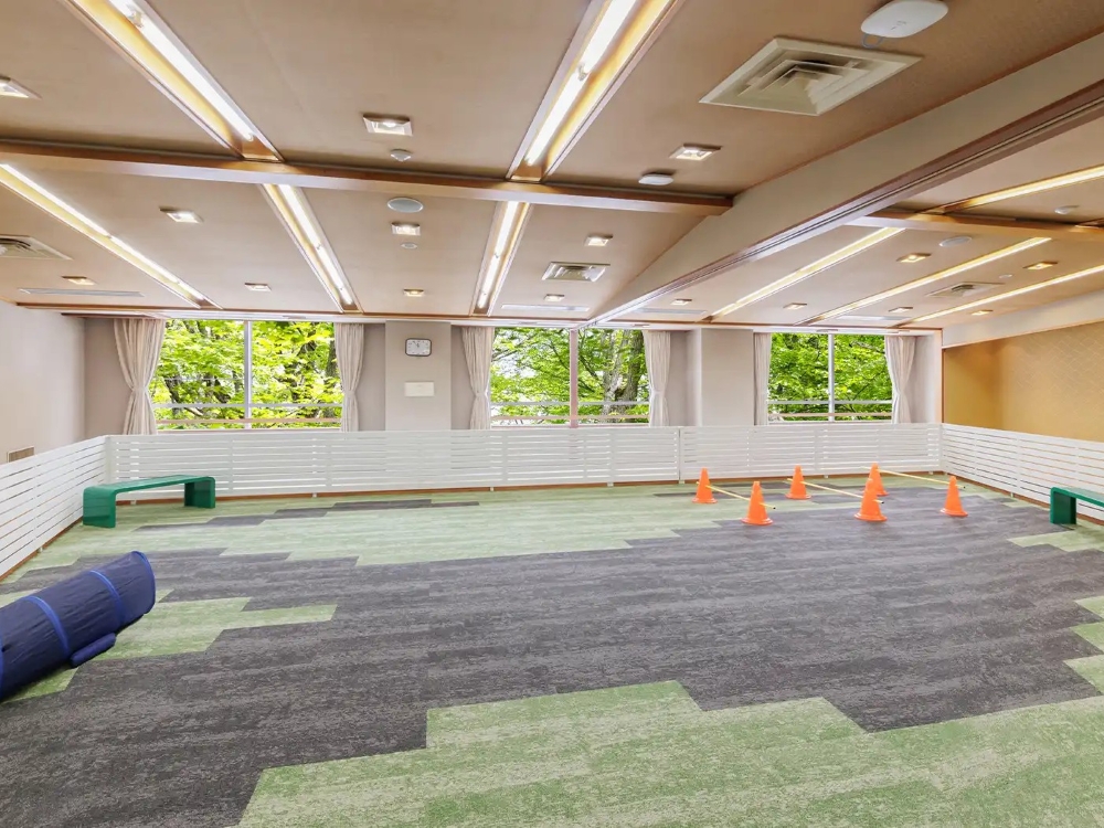 屋内ドッグラン