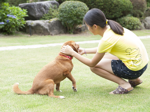 施設/動物とのふれあい