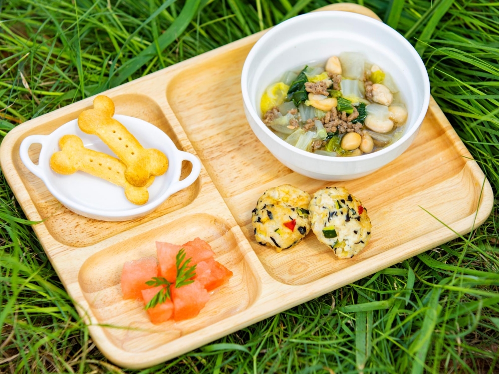 わんちゃん用ごはん