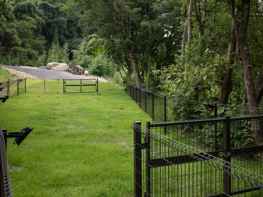 ドッグラン (Dog Run)