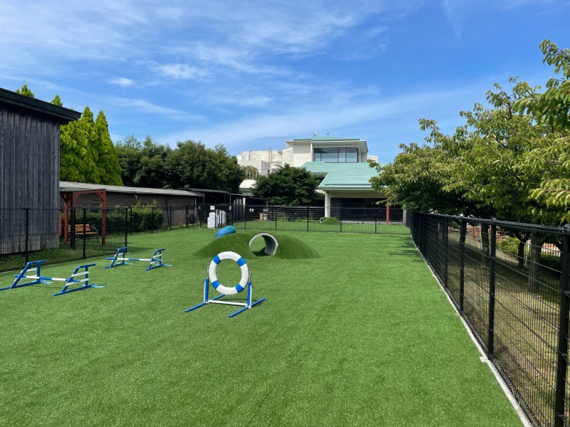 dog park